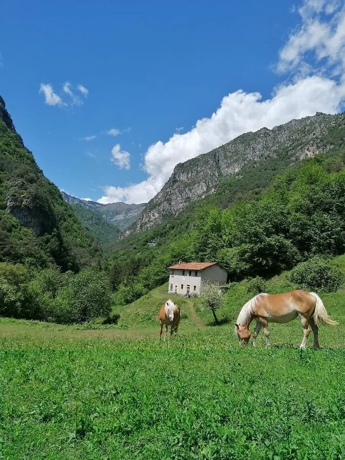 Villa Agriturismo La Casina Di Nonno Bigi Tremosine